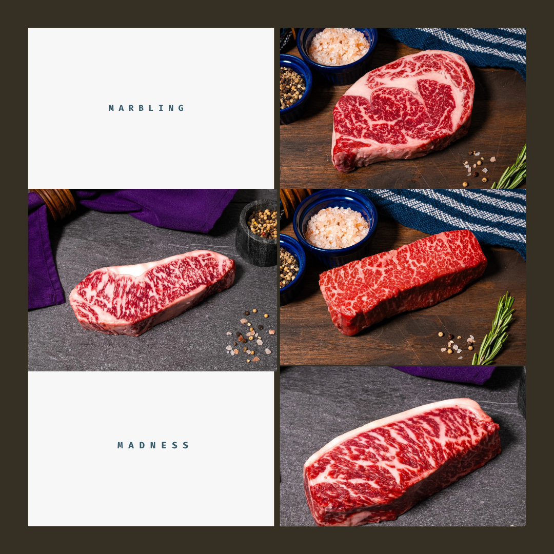 Marbling Madness Bundle